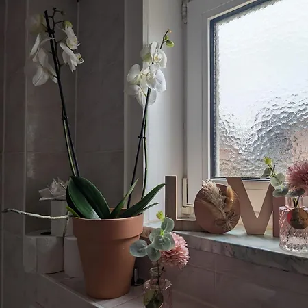 公寓 Appartementhaus Charlotte