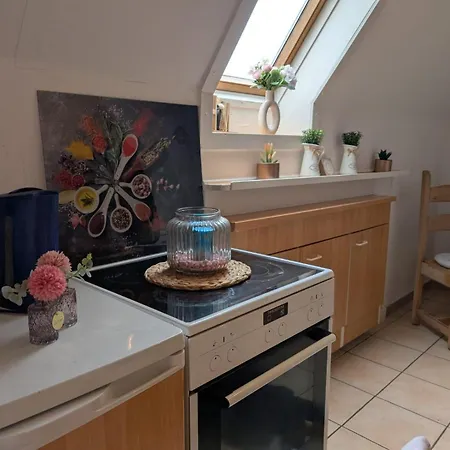 Appartementhaus Charlotte 公寓 *