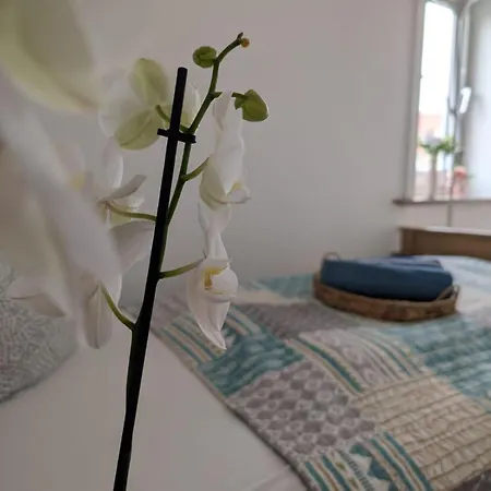 Appartementhaus Charlotte 公寓 *